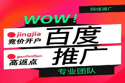 专业竞价SEM托管成功案例解析